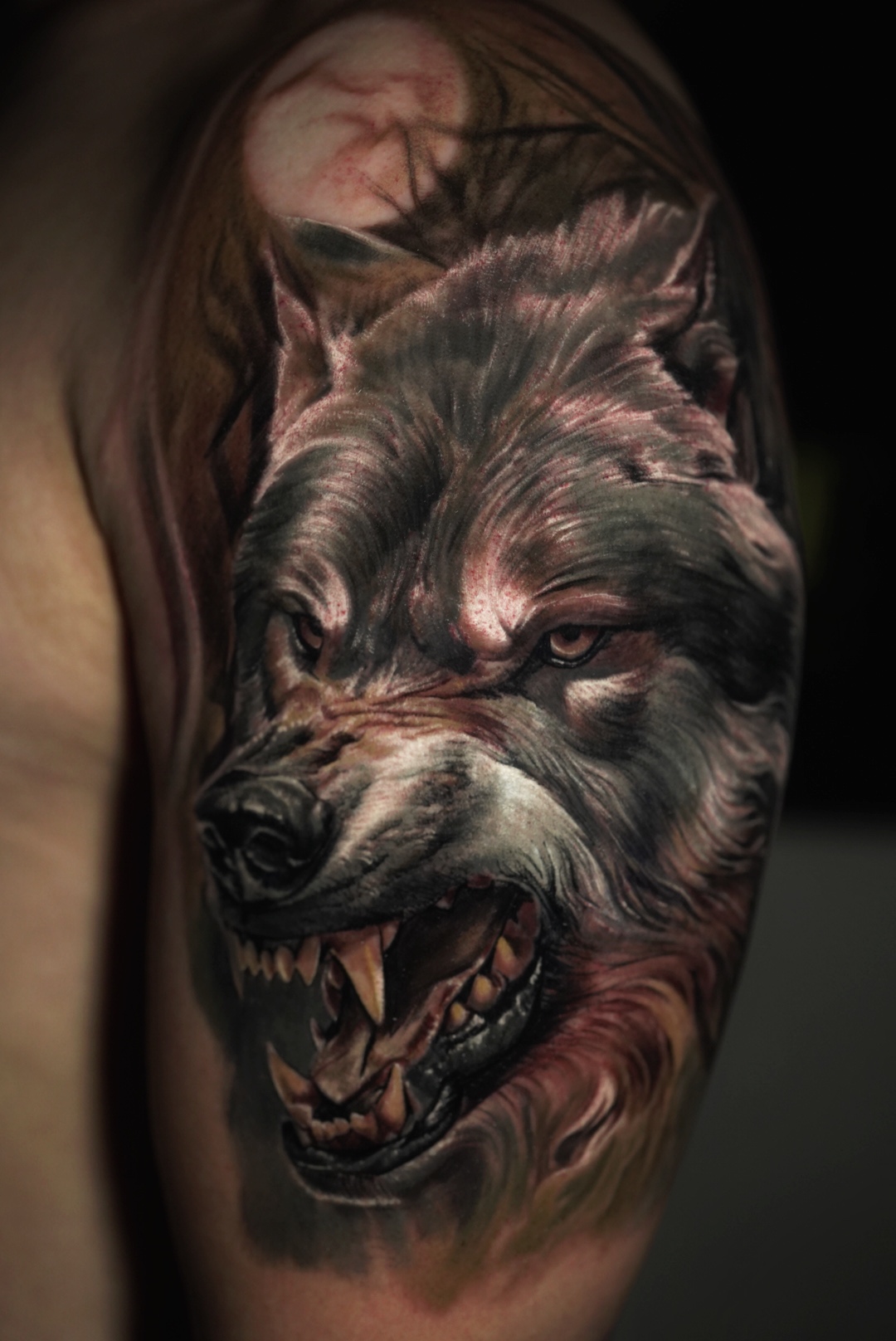Realistic snarling wolf tattoo on an upper arm